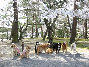 ��T���̂���ɂāE�E�E�B