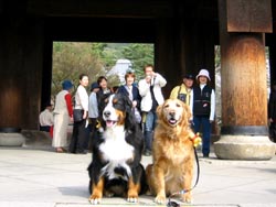 �M�������[�A�����ς�!!