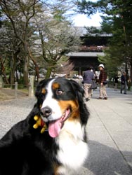 ��������̐l���U��Ԃ��Ă�����E�E�E�B