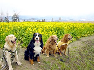 �L�O�B�e!!�΁[�Ɂ[�A�J�����ڐ�!!