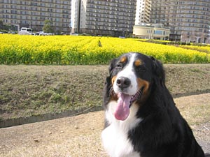 �y����������!!�܂��A��Ă��ĂˁB