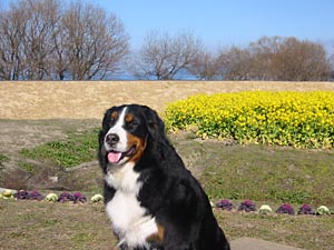 �΁[�Ɂ[�A������ˁB