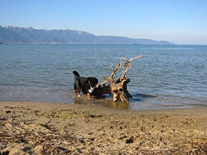 �΁[�Ɂ[�A�����ё�D��!!