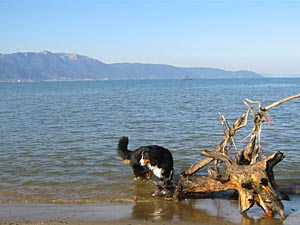 �����̒��͂ȁ`�ɂ��ȁE�E�E�B