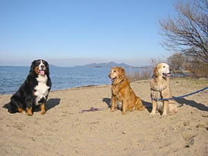 ����H�������́H