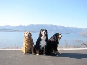 �O�C�ł�������|�[�Y�B