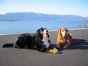 ���ł����͂����ˁ`�A������������