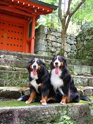 �������ƐԂ���̑O�ŋL�O�B�e�ł��B