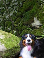 �����̕��͑ۂł����ς��B