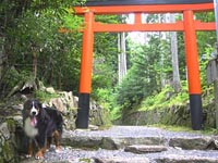 ���̉��ɐ_�Ђ�����܂��B