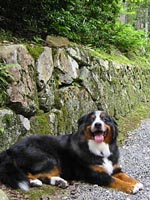 �������A�΂��ĂˁB