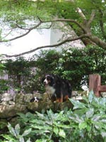 ���āA�������͂ǂ��H