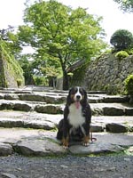 �O��@�ւƑ����Βi�ŁB