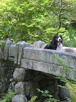 �_�ЂւƑ����΂̋�