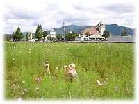 ���Ԕ��̃n�C�W�����ƃ}�}