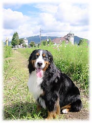 �R�X���X���̂΁[�Ɂ[