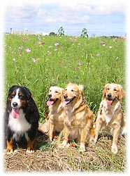 �݂�Ȃ̏Ί�͍ō��I