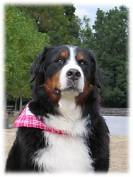 ���U���ő̗͂Â���E�E�E�B