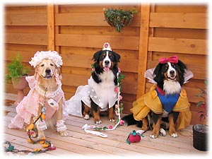 �v�����Z�X���v�����Z�X�W���I