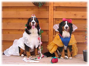 �������ƈꏏ�ɋL�O�B�e