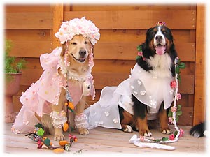 �������ƈꏏ�ɋL�O�B�e