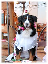 ���������Ȃ��B�B�B