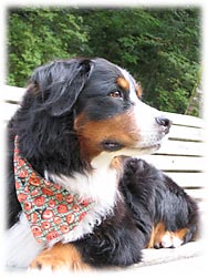 �����͖{�Ԃ���E�E�E�B