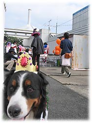 ��t�Ł[���I