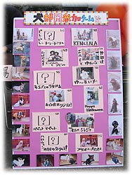 ������Q���`�[��