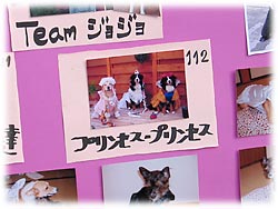 ���n�[�T���̎��̎ʐ^����I