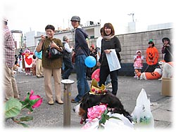 ��������̃M�������[�������