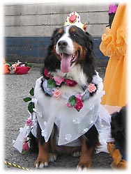 �΁[�Ɂ[�̃I�[�����P