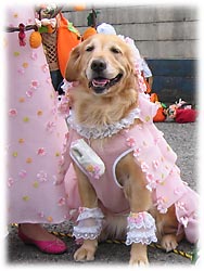 �G���[�����̃V���f�����P