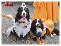 ����΂낤�ˁI