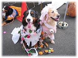 発表会場で待つ、ドキドキ感・・・。