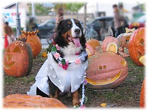 ���ڂ���ƈꏏ�ɋL�O�B�e