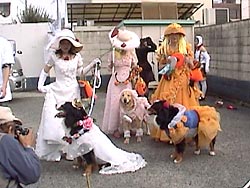 �n���E�B���̋L�O�B�e