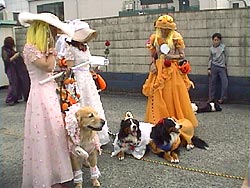 �o���O�̂ЂƎ�