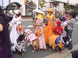 �p���[�h�̎n�܂�`�B