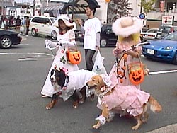 �́[�Ɂ[�A����΂��āI