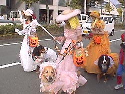 �w���킢���`�I�x���Č����Ă��������I