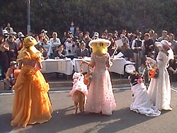 ���K�����Ƃ���ɂˁB�B�B