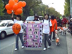 ���悢�挢����̓o��ł��I