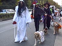 �H��̈ߑ��͖ڗ����Ă�����I