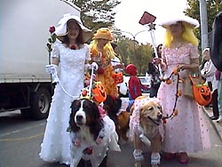 �݂�ȂŃS�[���ڎw�����ˁB