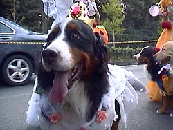 �΁[�Ɂ[�A����΂�I