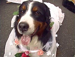 今日はよくがんばったね。