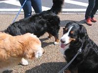 �u����ɂ��́`��v