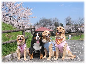 �u�G���[����񂽂����ꏏ�Ȃ̂ˁB���ꂵ���I�v