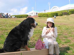 �u�Ȃ񂩁A����[�����A���傤������v